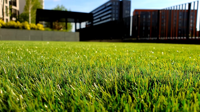 Garden path and landscaped walkway